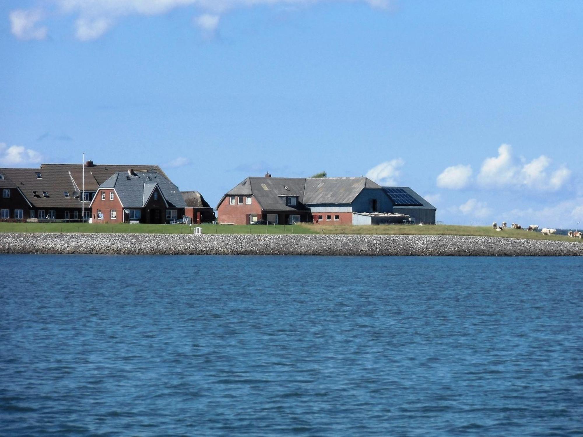 Haus Halligblick, Ferienwohnungen Am Wattenmeer, Whg Hamburger Hallig ดาเกอบึล ภายนอก รูปภาพ